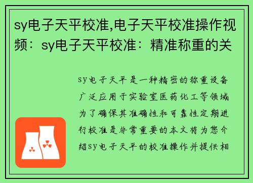 sy电子天平校准,电子天平校准操作视频：sy电子天平校准：精准称重的关键